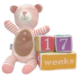ISO - NYGB Pink Bear